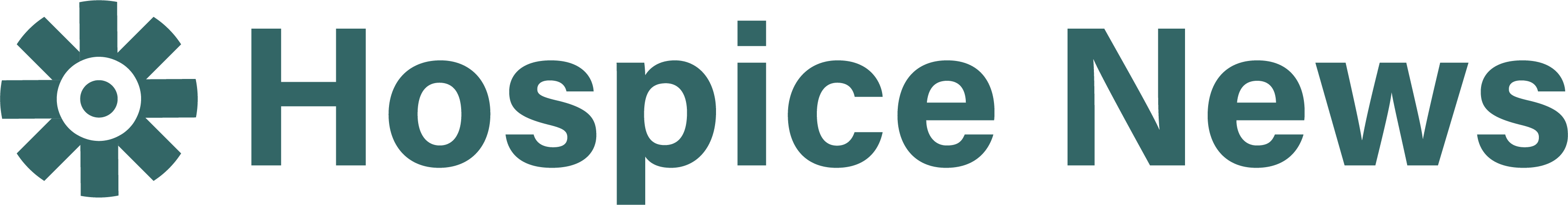 Hospice News company logo